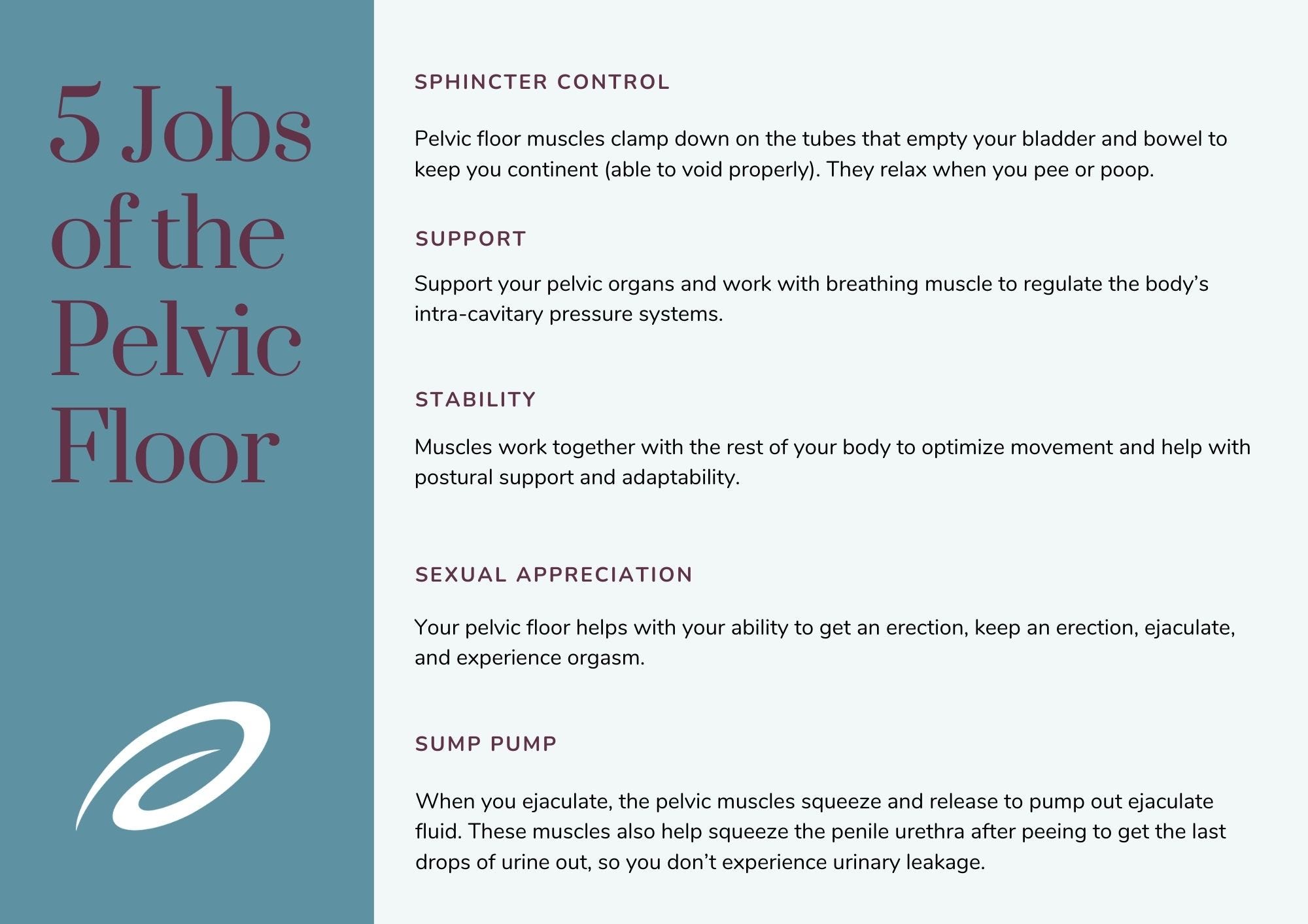 The 5 Jobs of the male pelvic floor chart