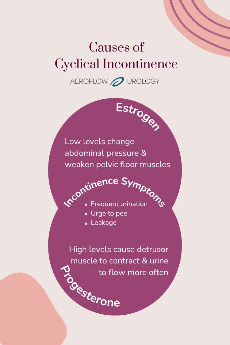 causes of cyclical incontinence infographic