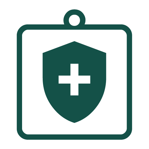 health insurance icon