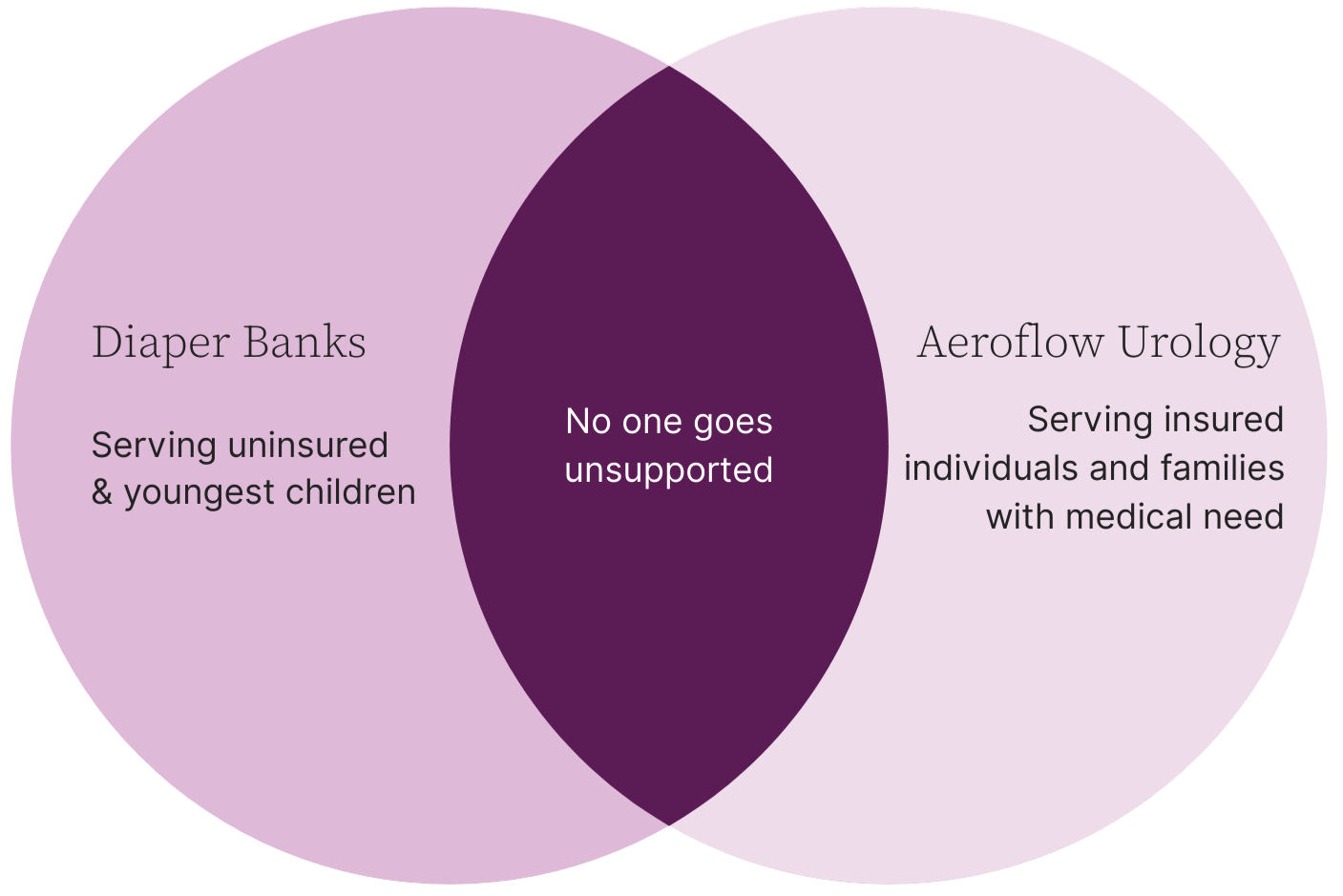 national diaper bank venn diagram