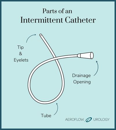 Parts of an intermittent catheter chart