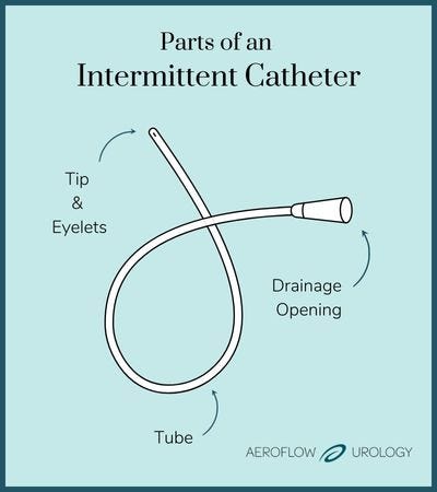 Parts of an intermittent catheter chart