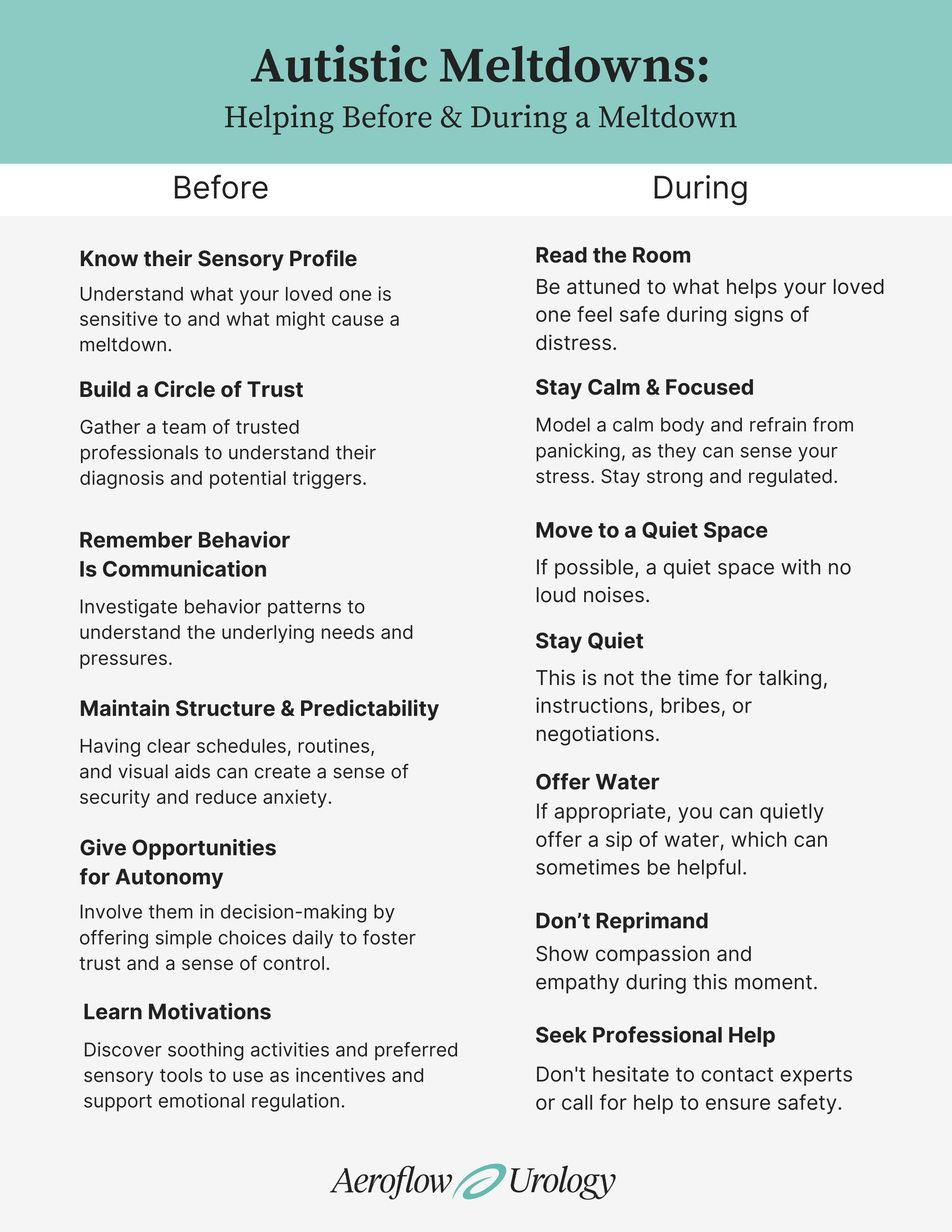 autistic meltdowns infographic