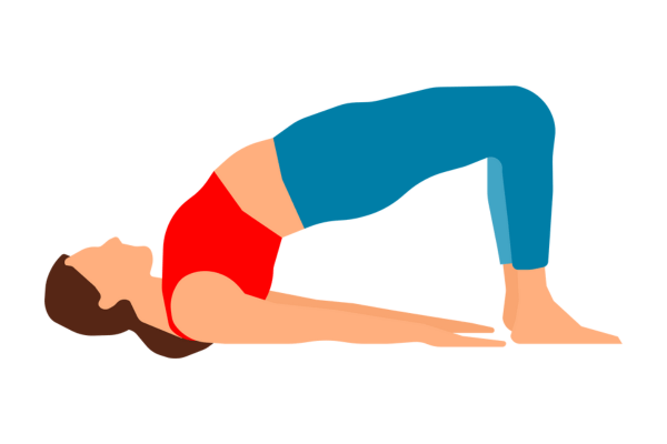 Pelvic cheap bridge exercise