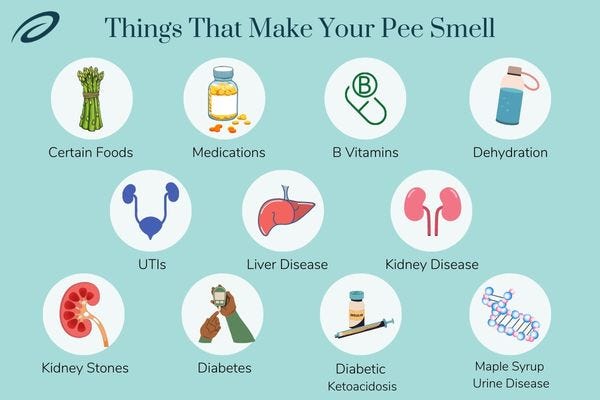 why-does-my-pee-smell-and-what-it-means