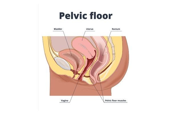 What Is a Pelvic Floor Massage Aeroflow Urology