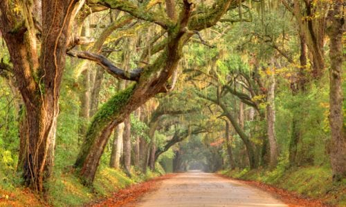 Beach in South Carolina