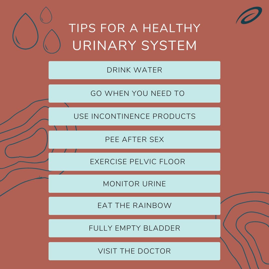 Urinary Wellness: Essential Tips for a Healthy System